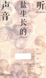 80后短片小说集 听盐生长的声音