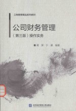 公司财务管理(第3版)操作实务