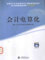 锐志会计从业资格无纸化考试无师自通 会计电算化