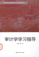 审计学学习指导