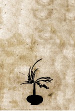 禁じられた華壇