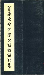 香港中文大学文物馆藏品专刊之二 香港中文大学文物馆藏印集