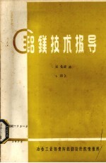 铝镁技术报导 管道化浸入 4