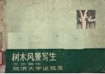 树木风景写生