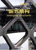 新兴结构