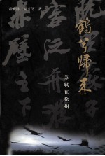 鹤兮归来 苏东坡在徐州