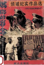 燃烧的邪念 人民公安报侦破纪实作品选