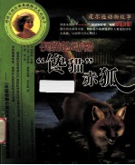 馋猫赤狐 夜晚的动物