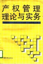 产权管理理论与实务