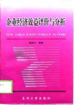 企业经济效益评价与分析