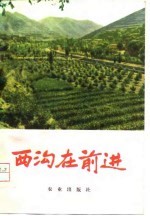 西沟在前进