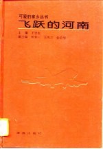 飞跃的河南