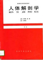 人体解剖学