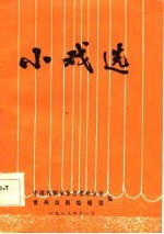 小戏选