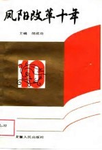 凤阳改革十年