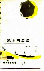 地上的星星