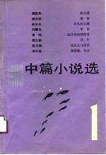 1989中篇小说选 第1辑