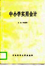 中小学实用会计