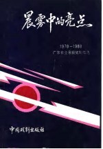 晨雾中的亮点 1978年-1988年广东省业余获奖剧作选