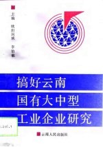 搞好云南国有大中型工业企业研究