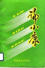 论小康
