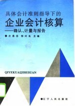 具体会计准则指导下的企业会计核算 确认、计量与报告