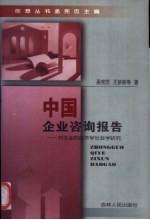中国企业咨询报告 对企业的经济学社会学研究