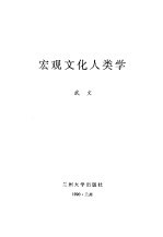 宏观文化人类学