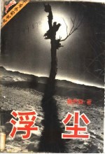 浮尘