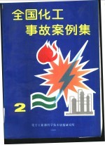 全国化工事故案例集 2