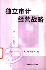 独立审计经营战略