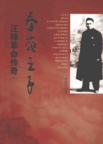 泰岭之子 汪峰革命传奇 下