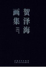 贺泽海画集