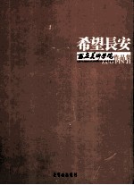 希望长安 西安美术学院作品集