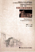 刑事证据规则研究