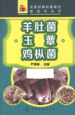 羊肚菌 玉蕈 鸡枞菌