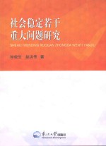 社会稳定若干重大问题研究