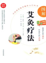 中医适宜技术操作入门丛书 图解艾灸疗法