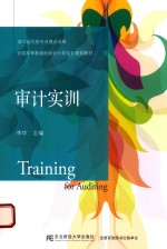 审计实训 高等教育财务会计