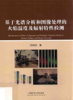 基于光谱分析和图像处理的火焰温度及辐射特性检测