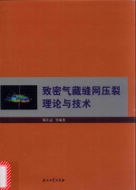 致密气藏缝网压裂理论与技术
