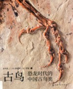 古鸟 恐龙时代的中国古鸟类