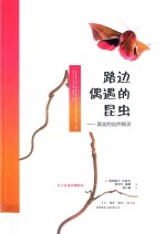 路边偶遇的昆虫 真实的自然精灵
