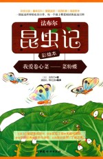 法布尔昆虫记 我爱卷心菜 菜粉蝶 彩绘本