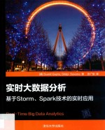 实时大数据分析  基于Storm、Spark技术的实时应用