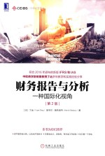 财务报告与分析 一种国际化视角 第2版