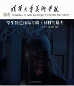 清华大学美术学院学生特色作品专辑 材料的魅力