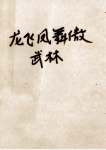 龙飞凤舞傲武林 陆小凤续集 中