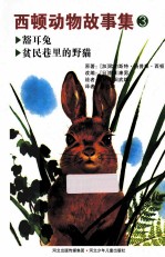 西顿动物故事集 3 豁耳兔，贫民巷里的野猫