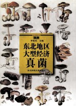 东北地区大型经济真菌